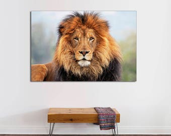 Black and white lion wall art canvas print for living office
