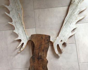 White roe deer on recycled wooden frame