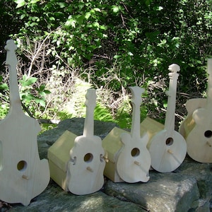 Instrument Bird House for small "song" birds