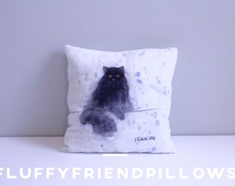hand painted 100% silk velvet pet portrait pillow14*14