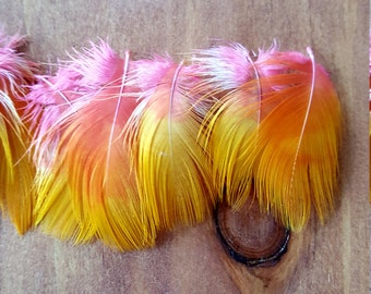 Dyed Macaw Feathers Cruelty Free Humane Naturally Molted Real Feathers #275