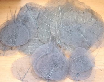 LEAF skeleton x 40 for scrapbooking - gray No. 4912