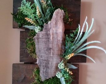 Green wall- wall decor- vertical garden- faux succulent evergreen arrangement with driftwood