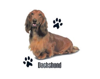 dachshund halloween shirt