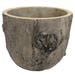Pinewood Tall Ceramic Planter - 6" x 5"
