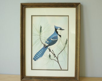 Vintage Blue Jay Watercolor, Original Signed Watercolor, Bird Illustration