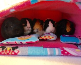 Princess fairy guinea pig bed, guinea pig hideout