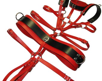 Training Leather Harness PONY for men BDSM Fetish Ponyplay Petplay