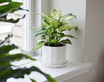 Straight Riveted Planter - Small