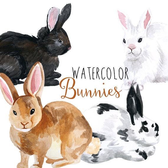 Watercolor Bunny Rabbits  Bunny Clip Art  Easter clipart 