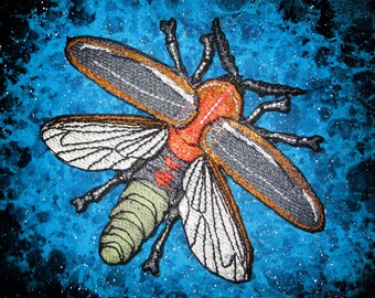 Glowing Fire Fly Photinus pyralis Iron on Patch