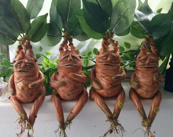 mandrake japan