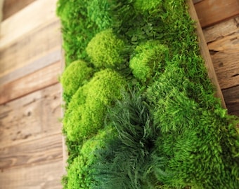 40" x 18" Artisan Moss® High Profile Plant Painting® No Maintenance Green Wall Art. Real Preserved Moss & Ferns in Reclaimed Wood Frame.