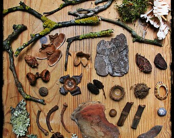Faery Furniture materials, woodland miniatures, woodland crafts