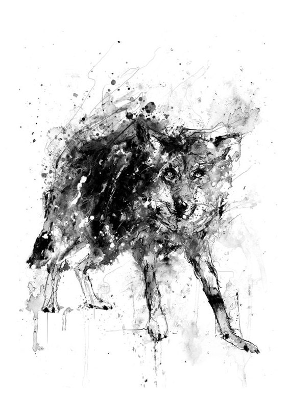 Black Wolf Black and White Print Ink Drawing Animal Art