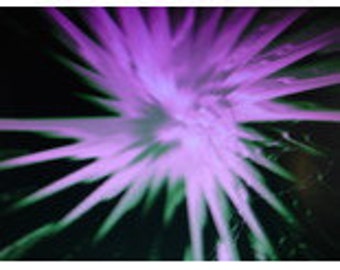 Kaleidoscope Image Poster