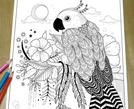 Gorgeous Parrot Adult Coloring Page Print