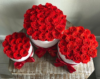 PRESERVED ROSES In Round Box