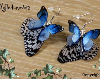 black white blue surgical steel butterfly wings earrings