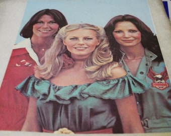 Charlie's Angels Vintage Transfer