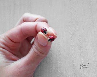ladybug
