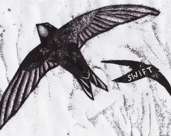 Swift Card | Greetings Card | British Birds | Printed in the UK on Recycled Card