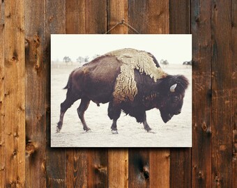 Bison - 16x20 buffalo Canvas print - brown home decor - buffalo - bison - rustic decor - brown decor - buffalo decor - western decor
