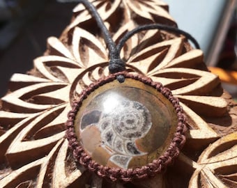 Ancient Ammonite Fossil Macrame Necklace