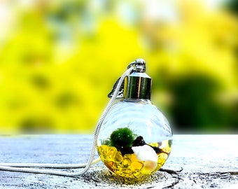Marimo Moss / Wearable Marimo Moss Necklace / Moss Ball Glass Globe Aquarium/ Marimo Terrarium / Gift for Her / Perfect Holiday Gift /