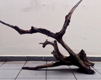 Driftwood Art - Pegasus
