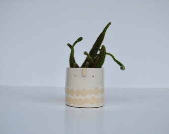 Mini succulent pot // white dotty