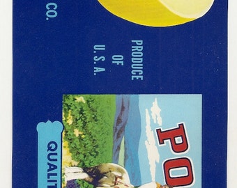 11 Old MELON / FRUIT Crate Labels