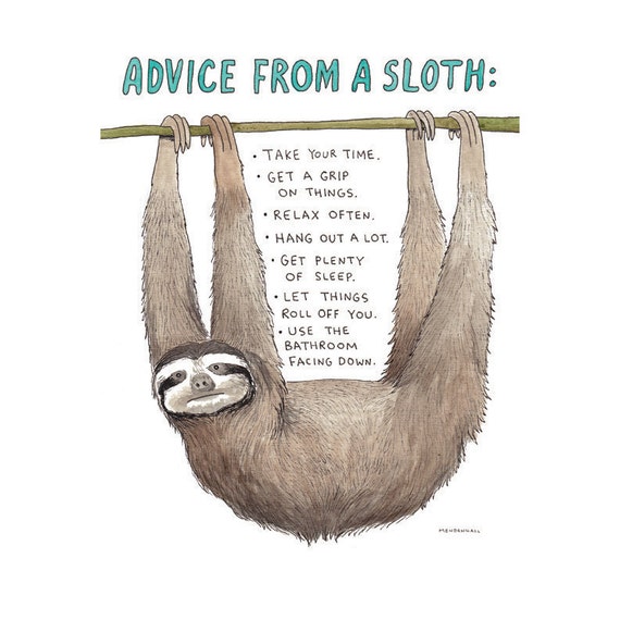 sloth names