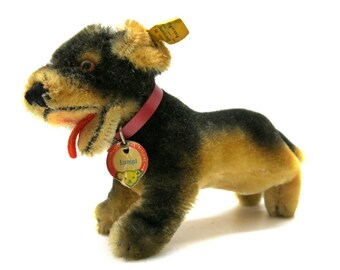 Steiff Dachshund Lumpi with all Id's