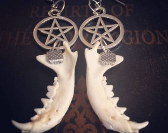 Jaw Bone Earrings- real bone jewelry- Taxidermy