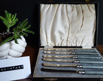 Set of 6 Vintage Butter Knives in Original Case