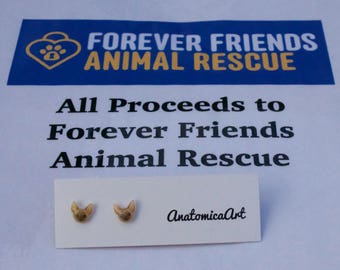 SALE!!! Tiny Siamese/Oriental Cat earrings- All proceeds to FFAR