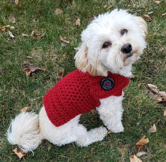 red dog sweater yorkie sweater dog sweater small teacup dog