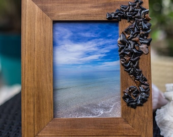 Seahorse Sharktooth Frame