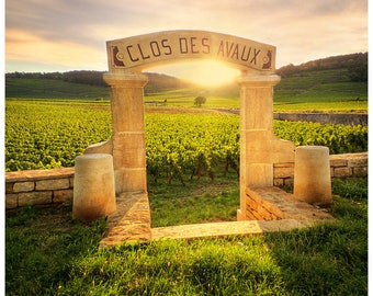 Color photo print: the D'avaux closed