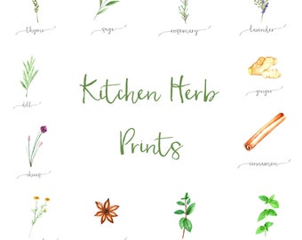 Kitchen Herb Prints | Individual