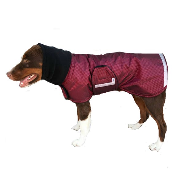 Extreme Winter Dog Coat Tough dog coat custom dog coat