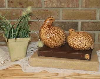 Vintage Ceramic Birds-Mother and Baby Bird-Brown Bird Figurines-Farmhouse Decor-French Country-Photo Prop-Vintage Decor-Ceramic Quails