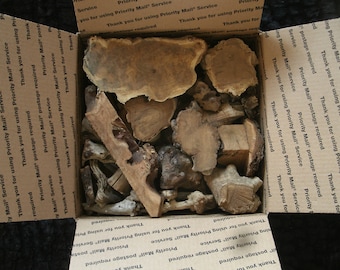 MEDIUM VARIETY PACKS! Burls & Wood Scraps