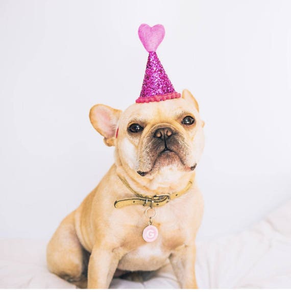 Dog Party Hat || Heart Headband ||February Birthday || Pink and Red || Love