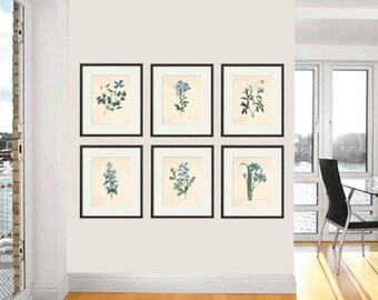 Antique botanical print Botanical art prints flower prints wall art flowers botanical poster antique wall art home decor wall art SET of 6