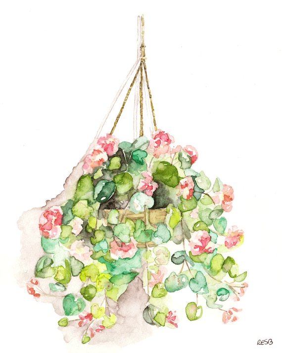 Hanging Flowers Painting Print from Original Watercolor