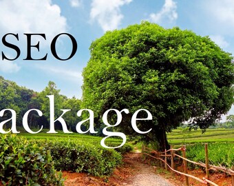 Download Now. SEO and Advertising Checklist Package. SEO Help