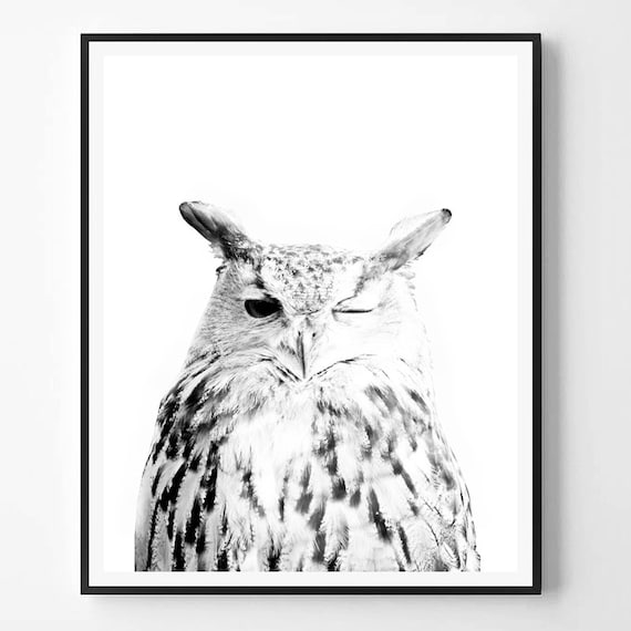 Owl print bird print owl art black and white photography Owl print bird print owl art black and white photography