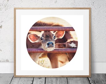 Farm Photography, Cow Photo, Printable Photo, Farm Decor, Western Art, Circle Art